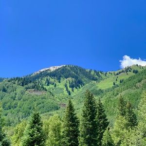 Meet your Posher, Leanne